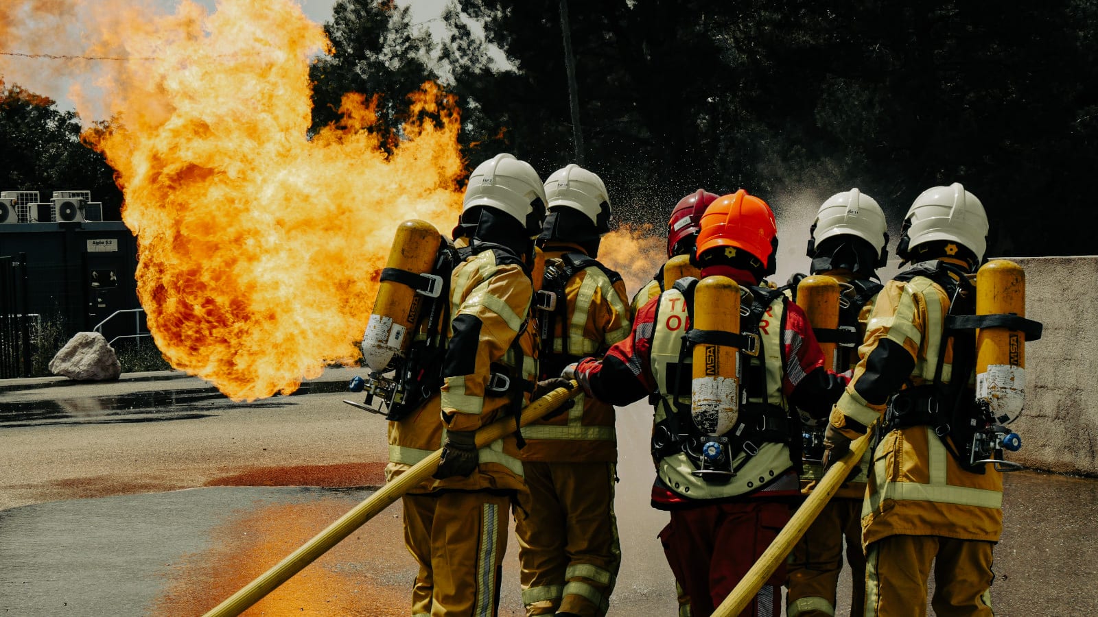 picture by ENB, Portugal